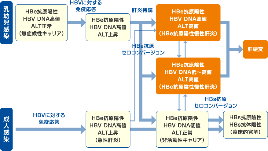 B型肝炎ウイルス持続感染者の自然経過チャート図
